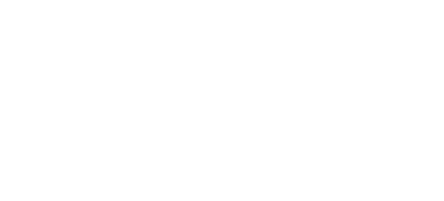 Architektura Inwestycje Paweł Pulchny
